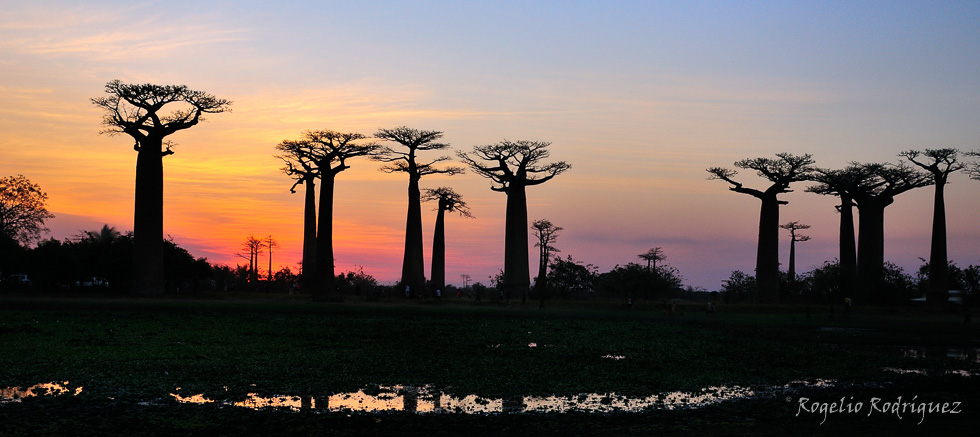 Madagascar